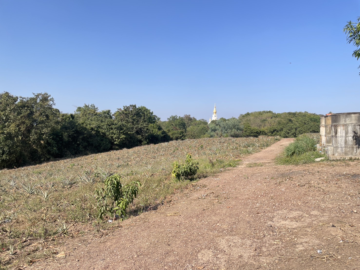 กองทุนฯ สตรี หนองคาย ลงพื้นที่ประเมินกลั่นกรองโครงการเงินทุนหมุนเวียน พื้นที่อำเภอสังคมและอำเภอศรีเชียงใหม่