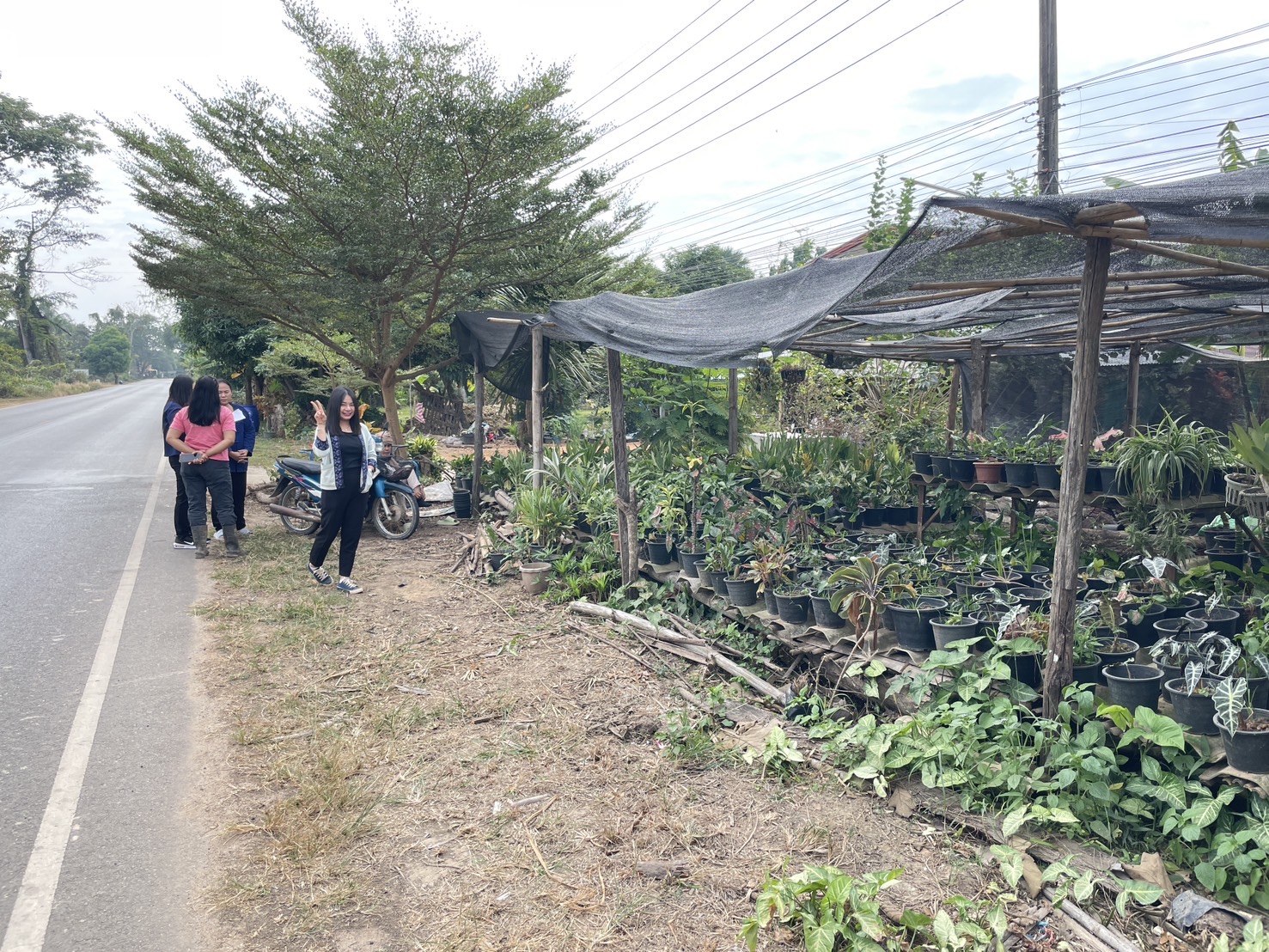 กองทุนฯ สตรี หนองคาย ลงพื้นที่ประเมินกลั่นกรองโครงการเงินทุนหมุนเวียน พื้นที่อำเภอสังคมและอำเภอศรีเชียงใหม่