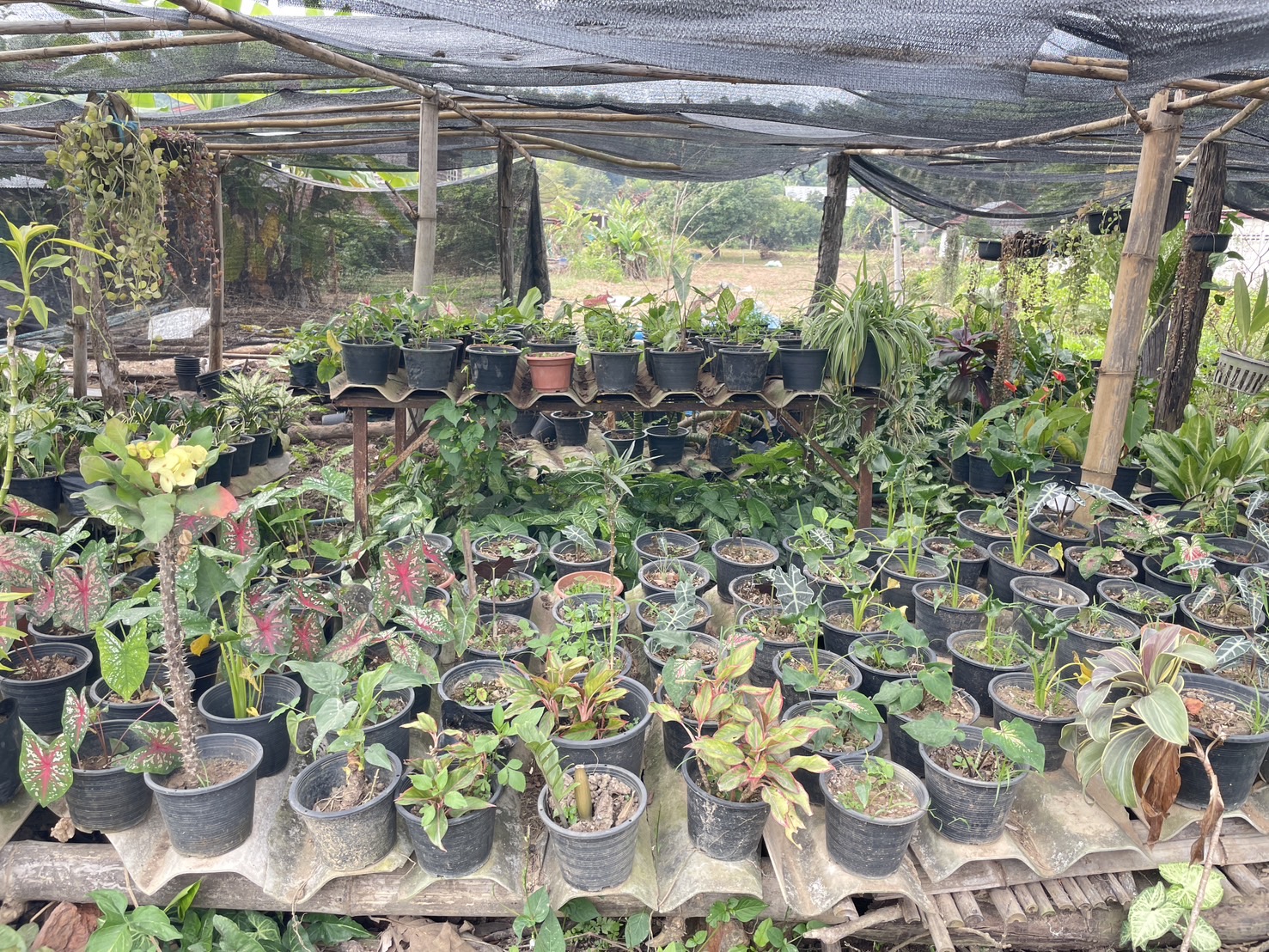 กองทุนฯ สตรี หนองคาย ลงพื้นที่ประเมินกลั่นกรองโครงการเงินทุนหมุนเวียน พื้นที่อำเภอสังคมและอำเภอศรีเชียงใหม่