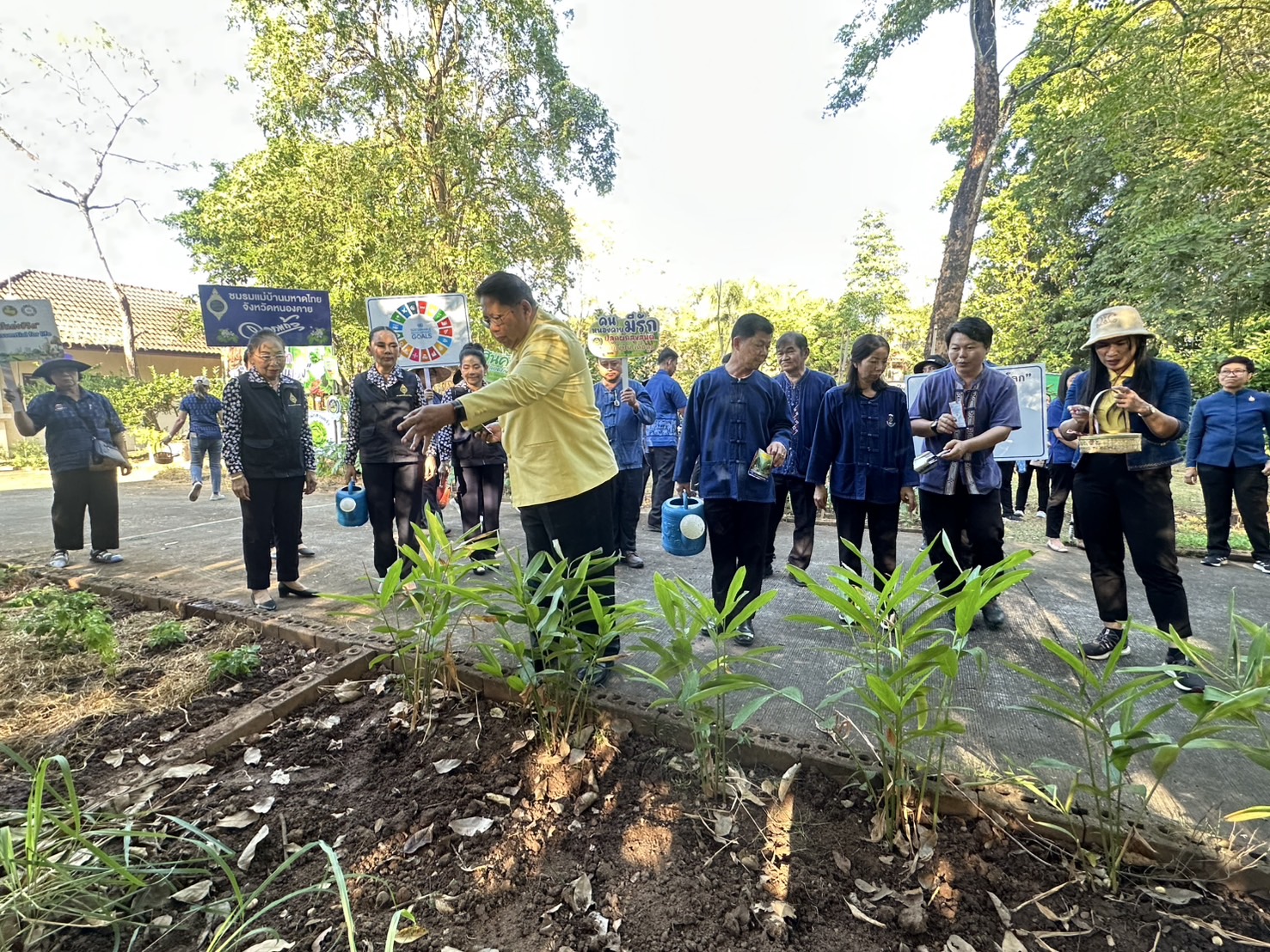 พ่อเมืองหนองคาย ร่วมกับ พช.หนองคาย ผนึกกำลัง ผู้นำ อช. อำเภอเมืองหนองคาย Kick off ขับเคลื่อนการน้อมนำแนวพระราชดำริของสมเด็จพระกนิษฐาธิราชเจ้า กรมสมเด็จพระเทพรัตนราชสุดาฯ สยามบรมราชกุมารี สู่ปฏิบัติการปลูกผักสวนครัว เพื่อสร้างความมั่นคงทางอาหาร ผ่านกิจกรรม “ผู้นำต้องทำก่อน”