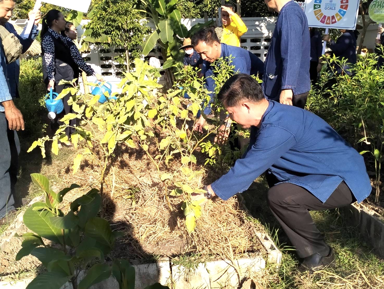 พ่อเมืองหนองคาย ร่วมกับ พช.หนองคาย ผนึกกำลัง ผู้นำ อช. อำเภอเมืองหนองคาย Kick off ขับเคลื่อนการน้อมนำแนวพระราชดำริของสมเด็จพระกนิษฐาธิราชเจ้า กรมสมเด็จพระเทพรัตนราชสุดาฯ สยามบรมราชกุมารี สู่ปฏิบัติการปลูกผักสวนครัว เพื่อสร้างความมั่นคงทางอาหาร ผ่านกิจกรรม “ผู้นำต้องทำก่อน”