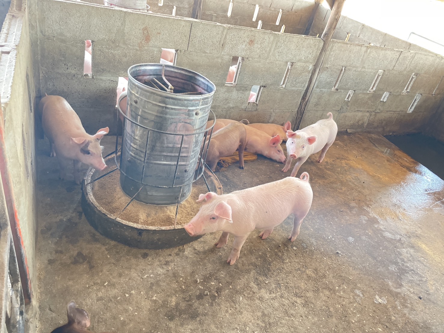 กองทุนฯ สตรี หนองคาย ลงพื้นที่ประเมินกลั่นกรองโครงการเงินทุนหมุนเวียน พื้นที่อำเภอรัตนวาปี และอำเภอโพนพิสัย