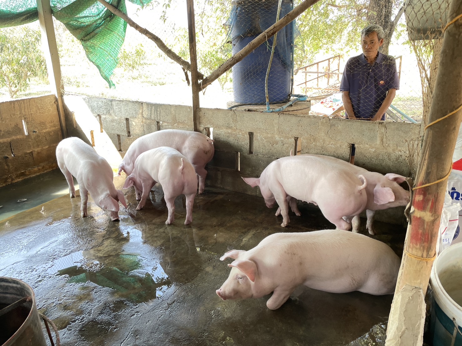 กองทุนฯ สตรี หนองคาย ลงพื้นที่ประเมินกลั่นกรองโครงการเงินทุนหมุนเวียน พื้นที่อำเภอรัตนวาปี และอำเภอโพนพิสัย