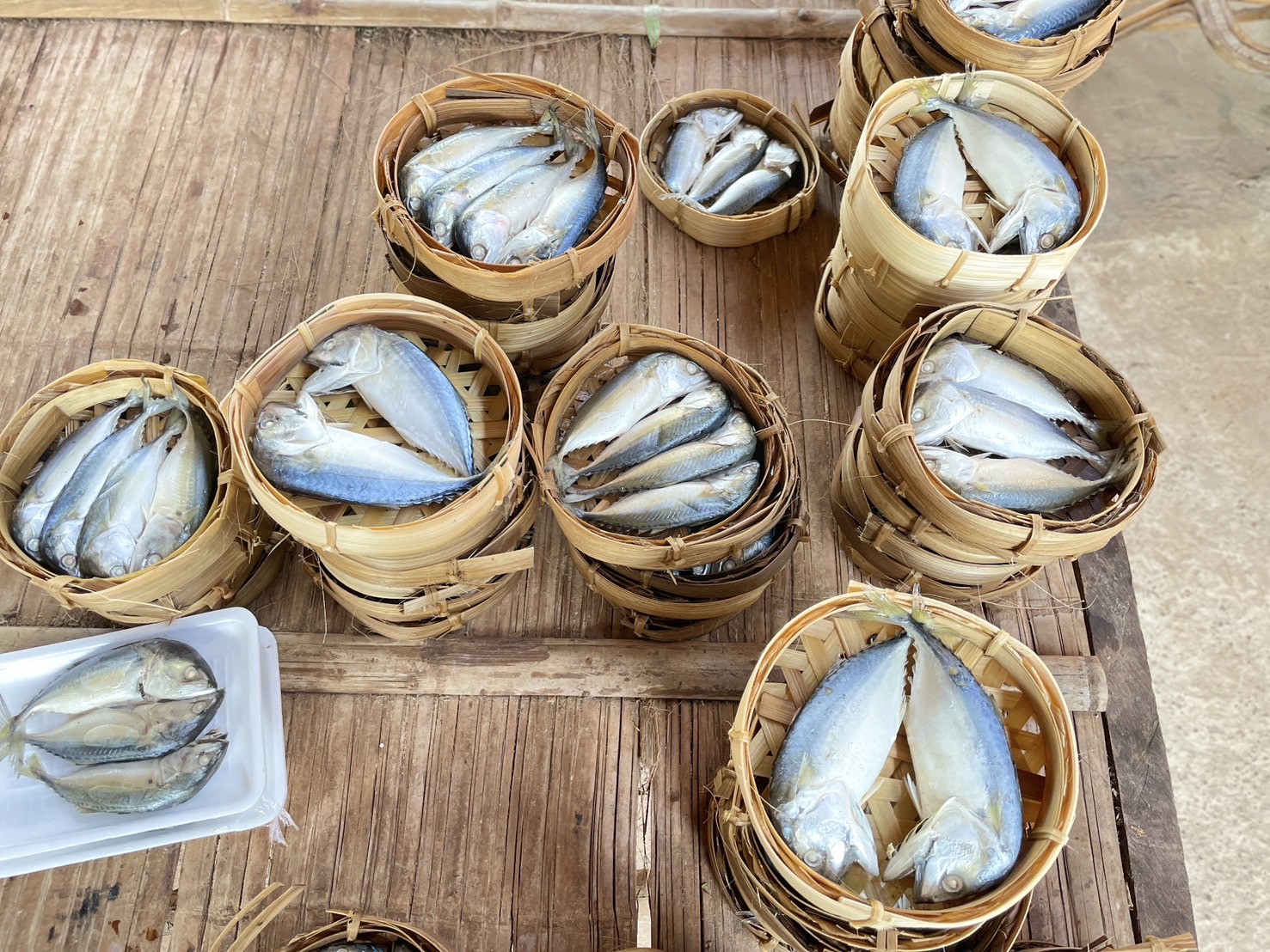 กองทุนฯ สตรี หนองคาย ลงพื้นที่ประเมินกลั่นกรองโครงการเงินทุนหมุนเวียน พื้นที่อำเภอรัตนวาปี และอำเภอโพนพิสัย