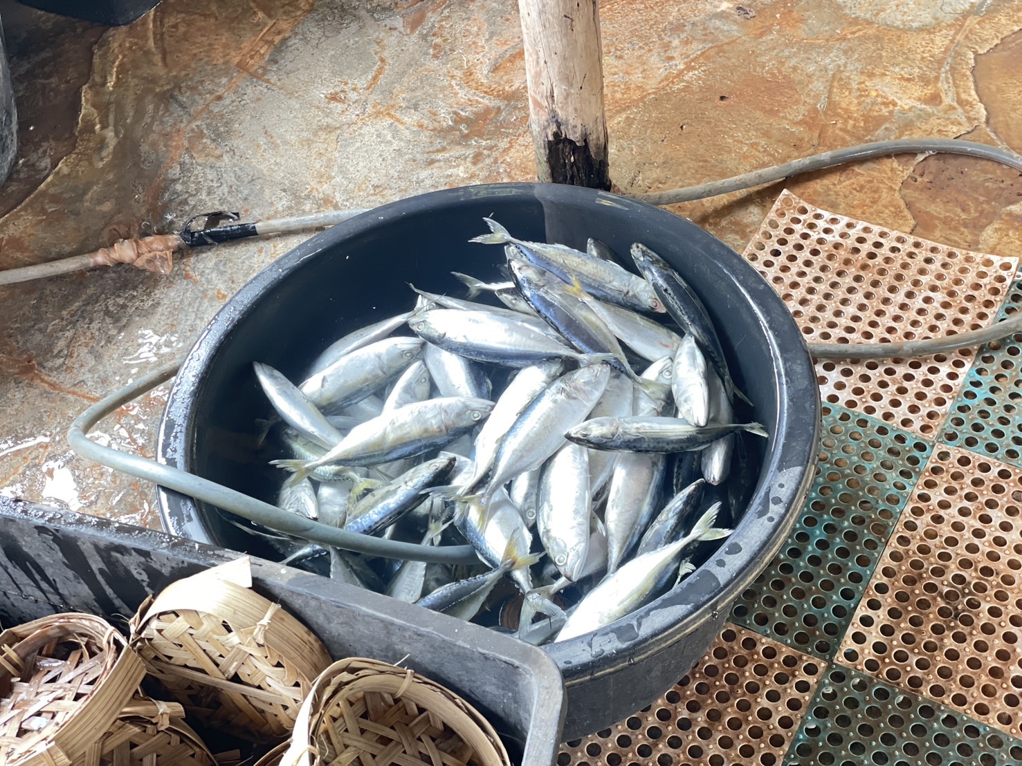 กองทุนฯ สตรี หนองคาย ลงพื้นที่ประเมินกลั่นกรองโครงการเงินทุนหมุนเวียน พื้นที่อำเภอรัตนวาปี และอำเภอโพนพิสัย