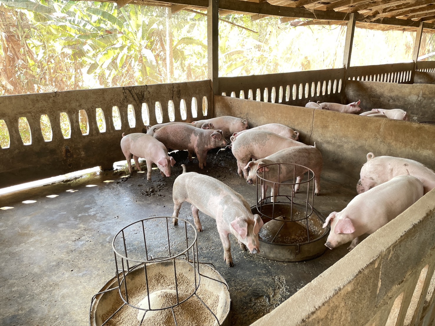กองทุนฯ สตรี หนองคาย ลงพื้นที่ประเมินกลั่นกรองโครงการเงินทุนหมุนเวียน พื้นที่อำเภอรัตนวาปี และอำเภอโพนพิสัย