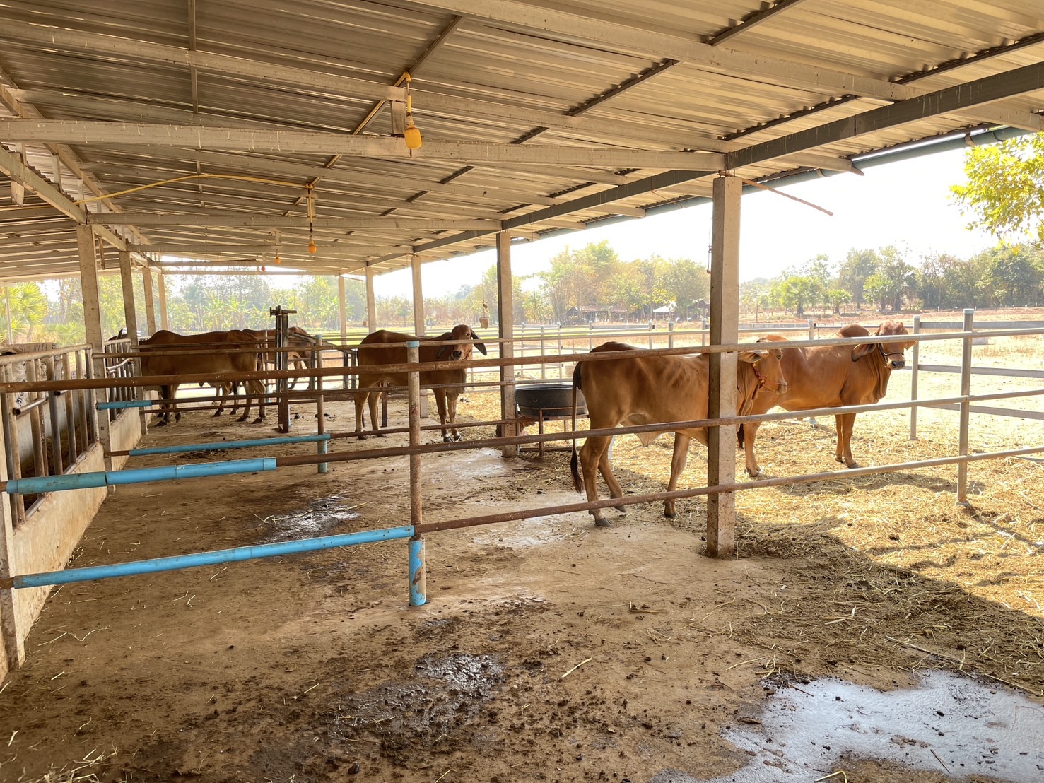 กองทุนฯ สตรี หนองคาย ลงพื้นที่ประเมินกลั่นกรองโครงการเงินทุนหมุนเวียน พื้นที่อำเภอเมืองหนองคาย