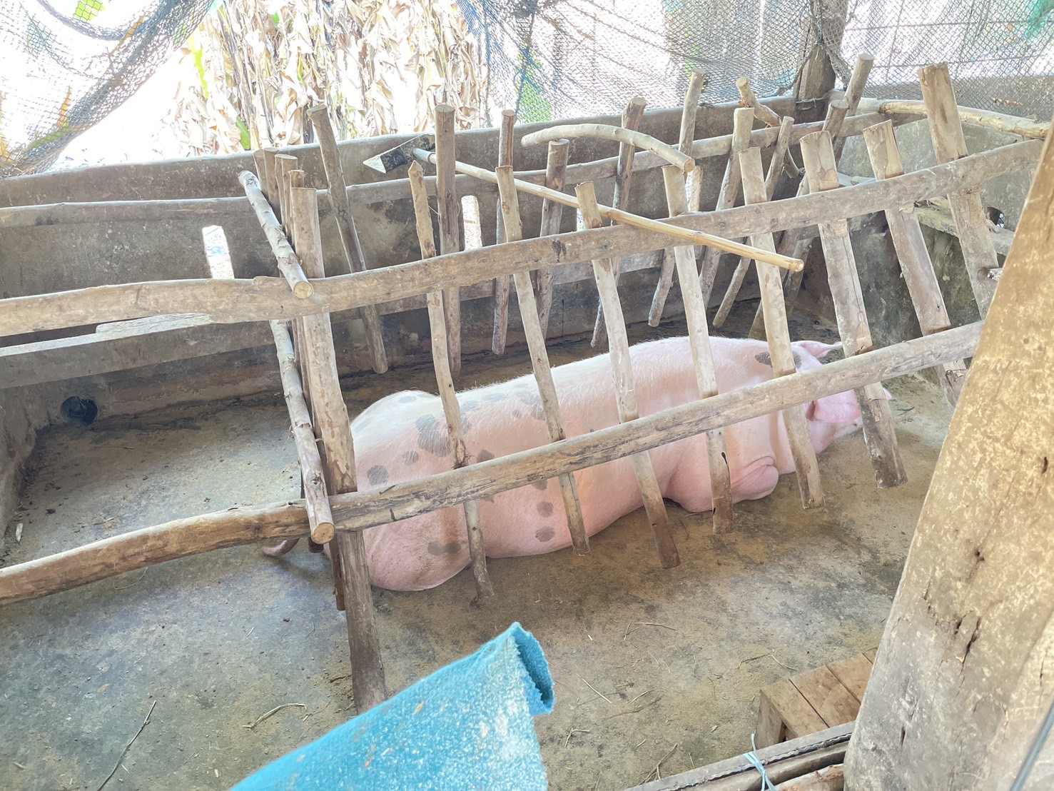 กองทุนฯ สตรี หนองคาย ลงพื้นที่ประเมินกลั่นกรองโครงการเงินทุนหมุนเวียน พื้นที่อำเภอเมืองหนองคาย