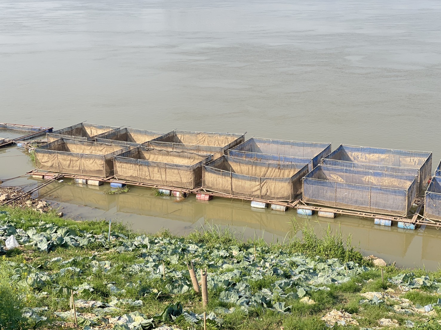 กองทุนฯ สตรี หนองคาย ลงพื้นที่ประเมินกลั่นกรองโครงการเงินทุนหมุนเวียน พื้นที่อำเภอเมืองหนองคาย