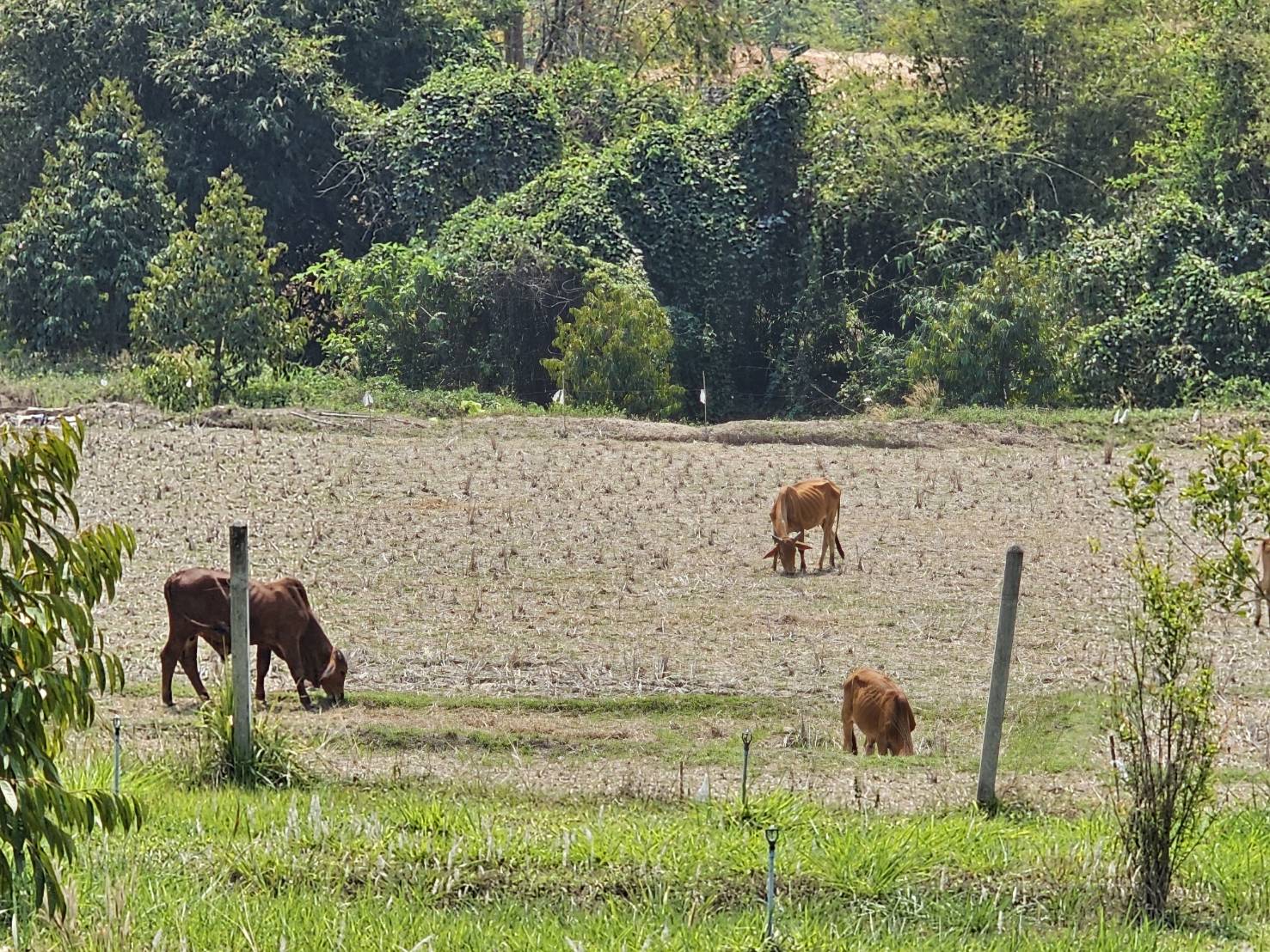 กองทุนฯ สตรี หนองคาย ลงพื้นที่ประเมินกลั่นกรองโครงการเงินทุนหมุนเวียน อำเภอสังคม