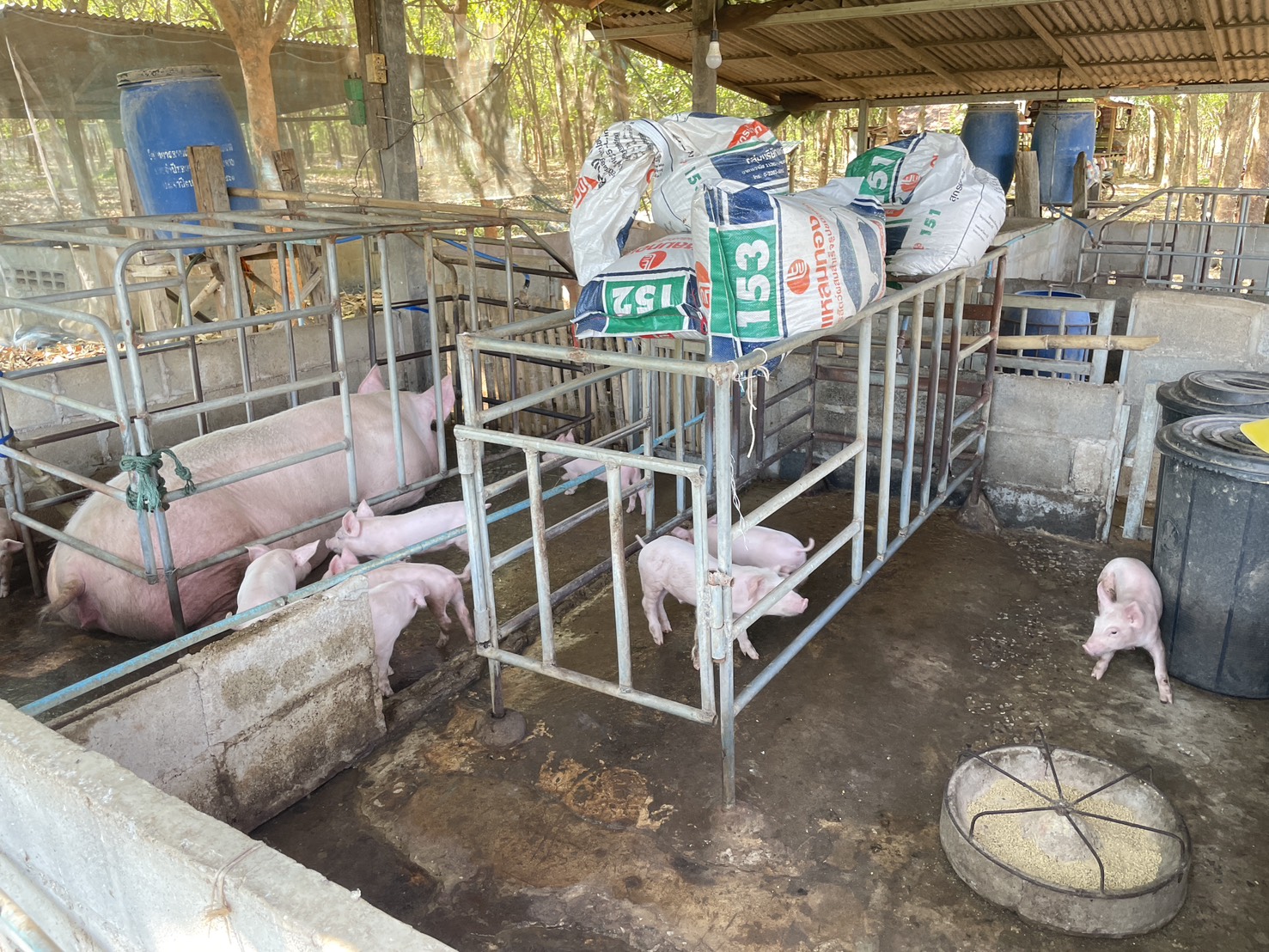 กองทุนฯ สตรี หนองคาย ลงพื้นที่ประเมินกลั่นกรองโครงการเงินทุนหมุนเวียน อำเภอเฝ้าไร่และอำเภอรัตนวาปี