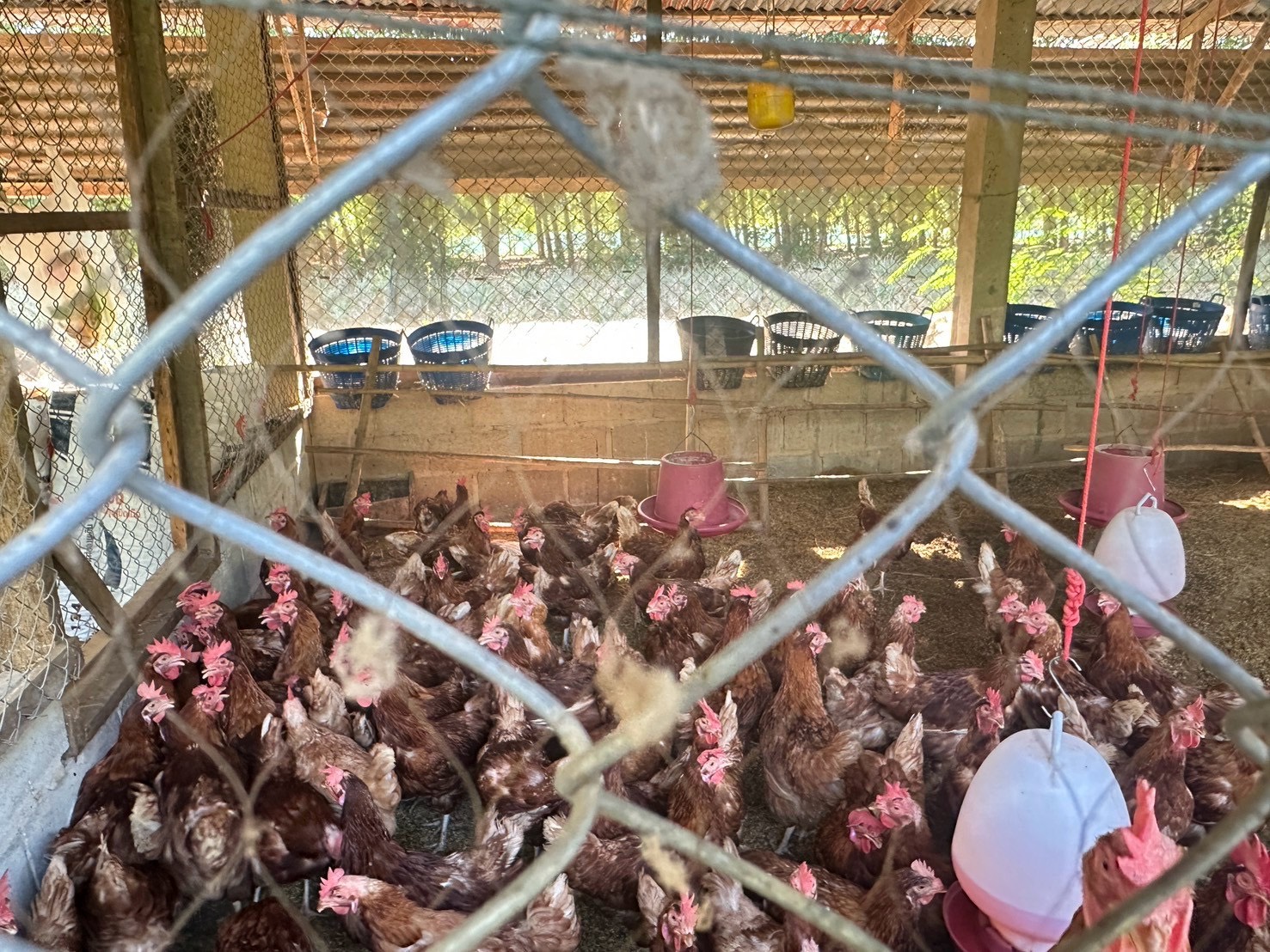 กองทุนฯ สตรี หนองคาย ลงพื้นที่ประเมินกลั่นกรองโครงการเงินทุนหมุนเวียน อำเภอเฝ้าไร่และอำเภอรัตนวาปี