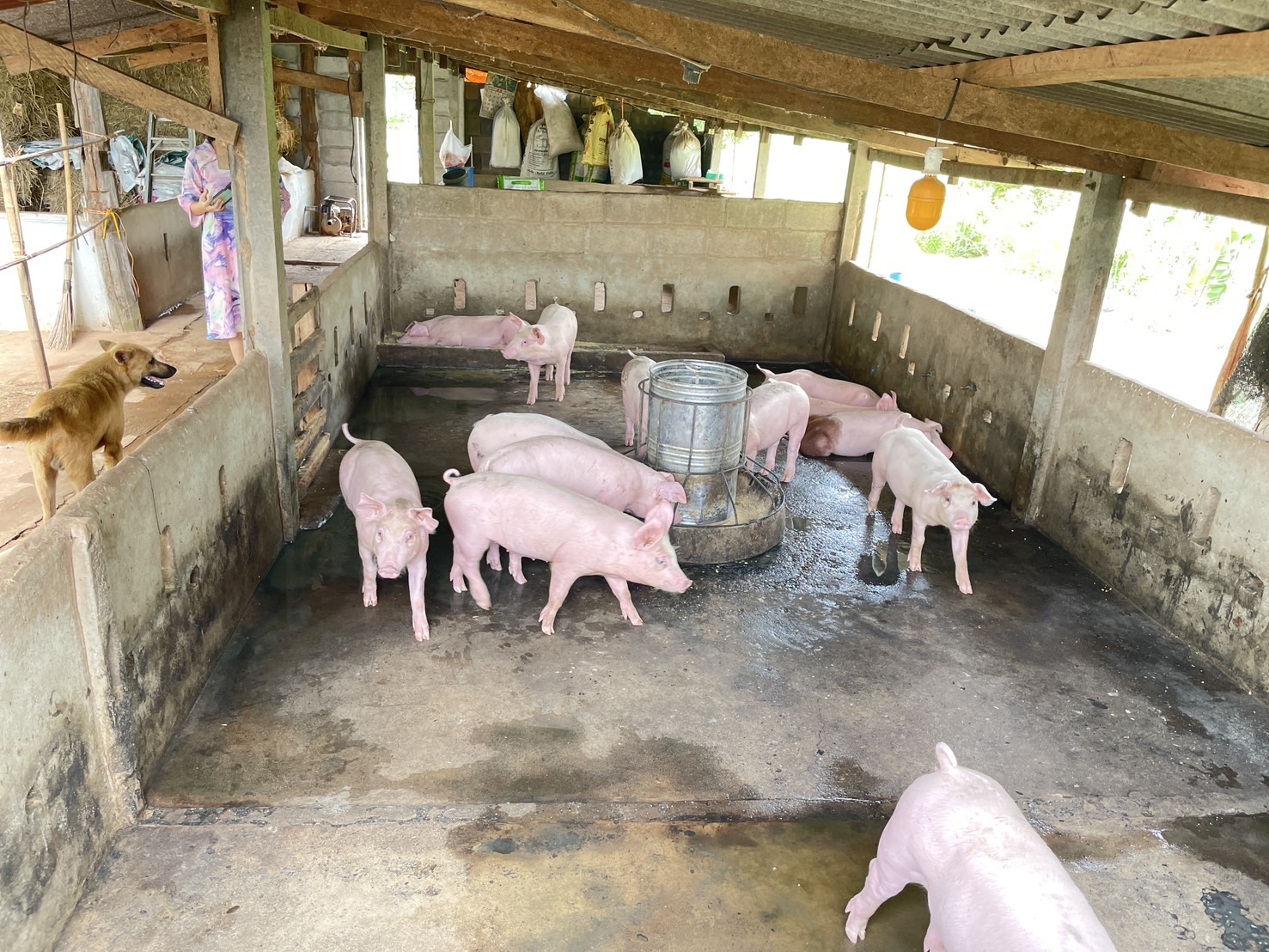 กองทุนฯ สตรี หนองคาย ลงพื้นที่ประเมินกลั่นกรองโครงการเงินทุนหมุนเวียน