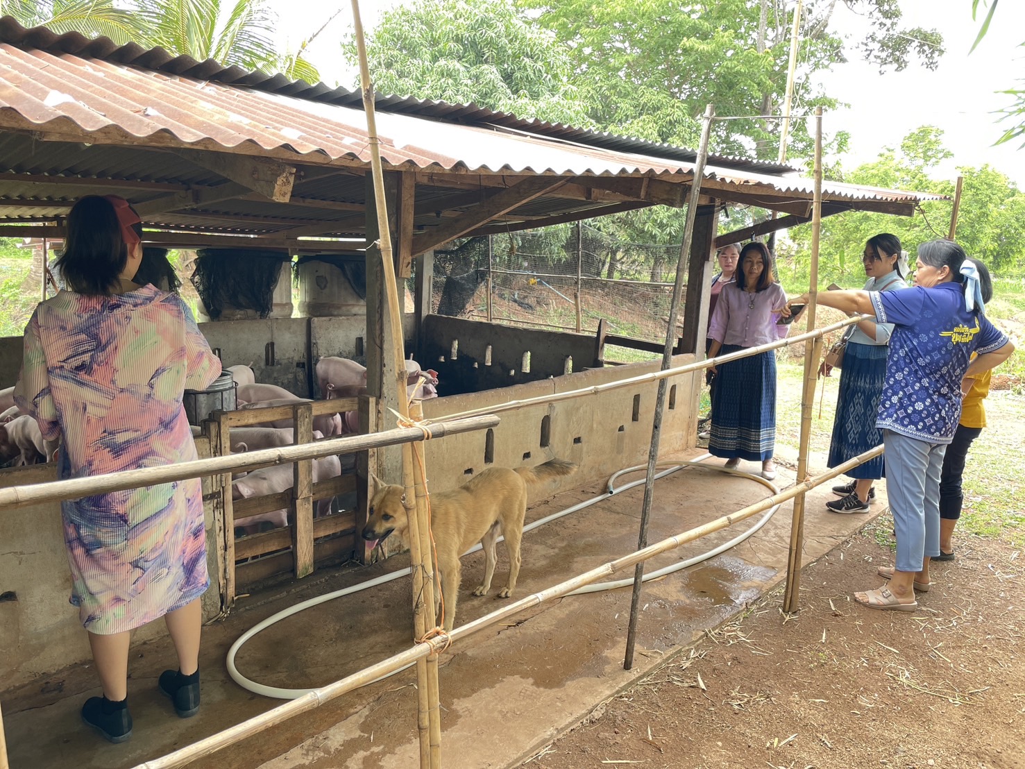 กองทุนฯ สตรี หนองคาย ลงพื้นที่ประเมินกลั่นกรองโครงการเงินทุนหมุนเวียน