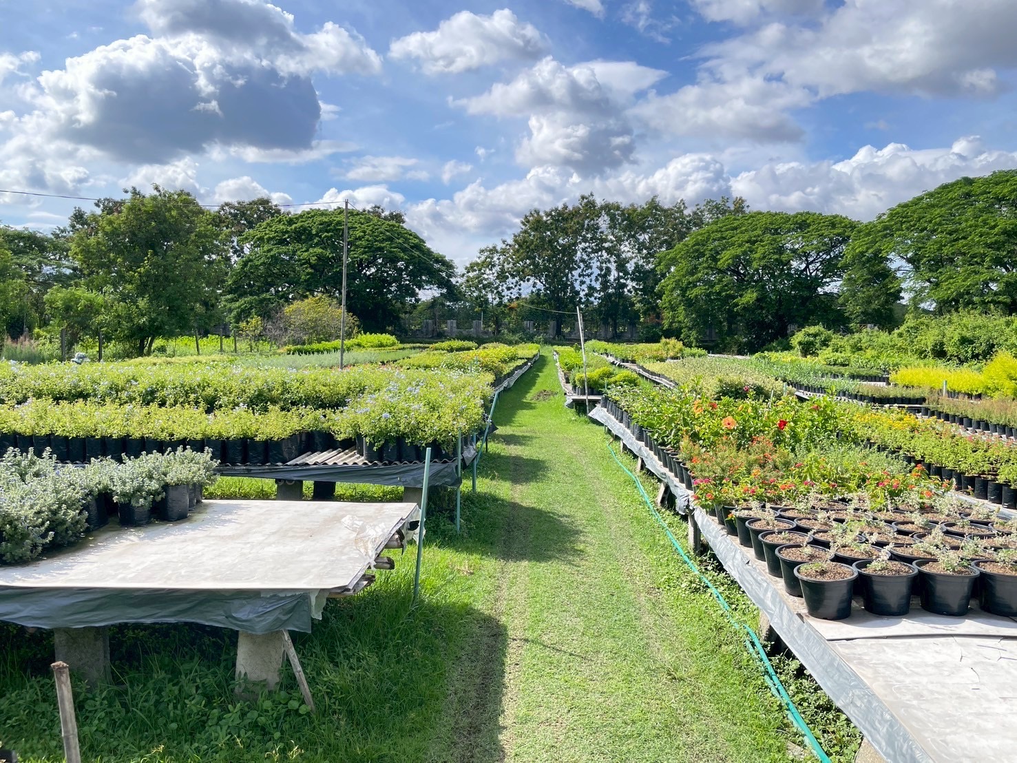 “พช.หนองคาย คัดเลือกคนกองทุนพัฒนาบทบาทสตรีดีเด่น ระดับจังหวัด ตามโครงการเชิดชูเกียรติคนกองทุนพัฒนาบทบาทสตรี ประจำปี 2568”
