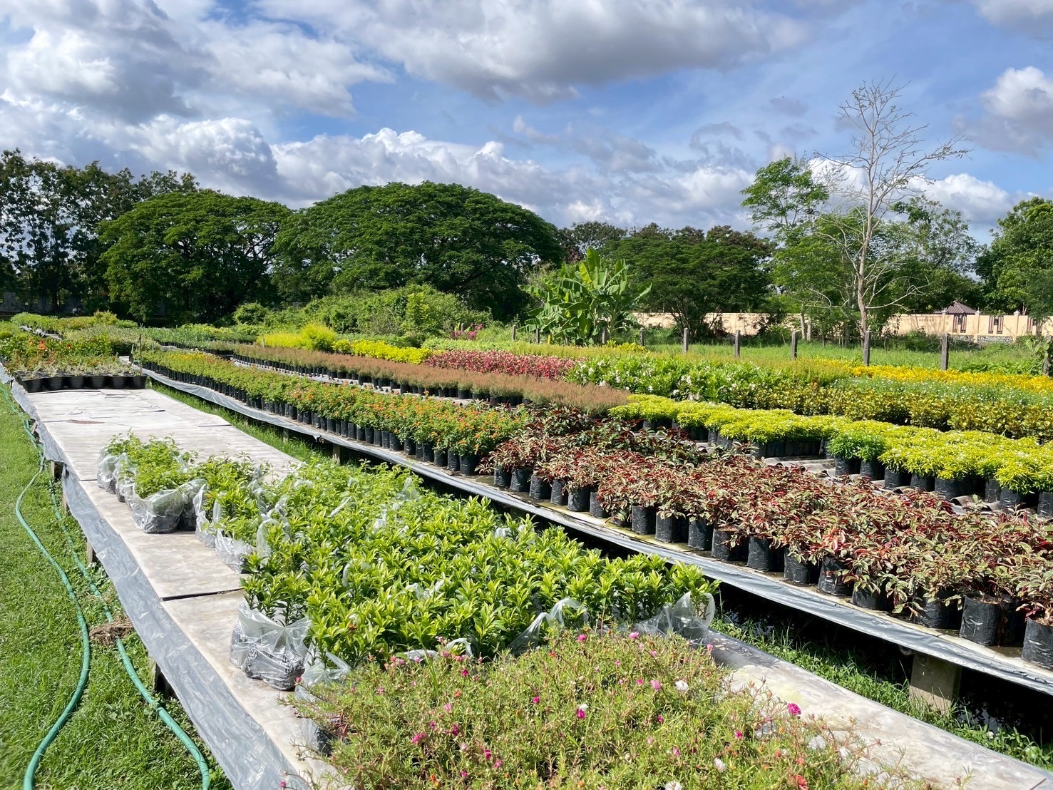 “พช.หนองคาย คัดเลือกคนกองทุนพัฒนาบทบาทสตรีดีเด่น ระดับจังหวัด ตามโครงการเชิดชูเกียรติคนกองทุนพัฒนาบทบาทสตรี ประจำปี 2568”