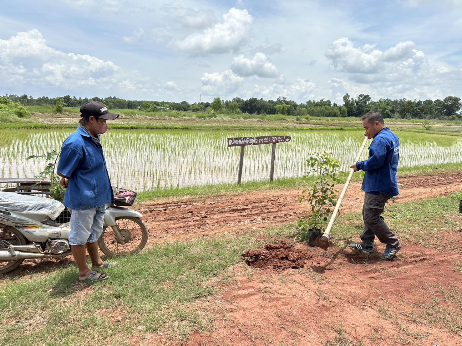 พช. หนองคาย : ดำเนินโครงการการขยายผลการจัดทำแปลงอนุรักษ์พันธุกรรมพืช