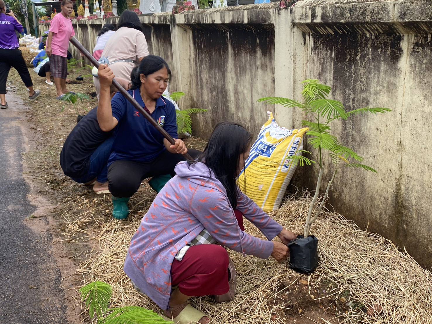 พช.หนองคาย จัดกิจกรรม “เส้นทางนี้มีผล ผู้คนรักกัน ปันสุข” น้อมนำแนวพระราชดำริฯ สร้างความมั่นคงทางอาหาร