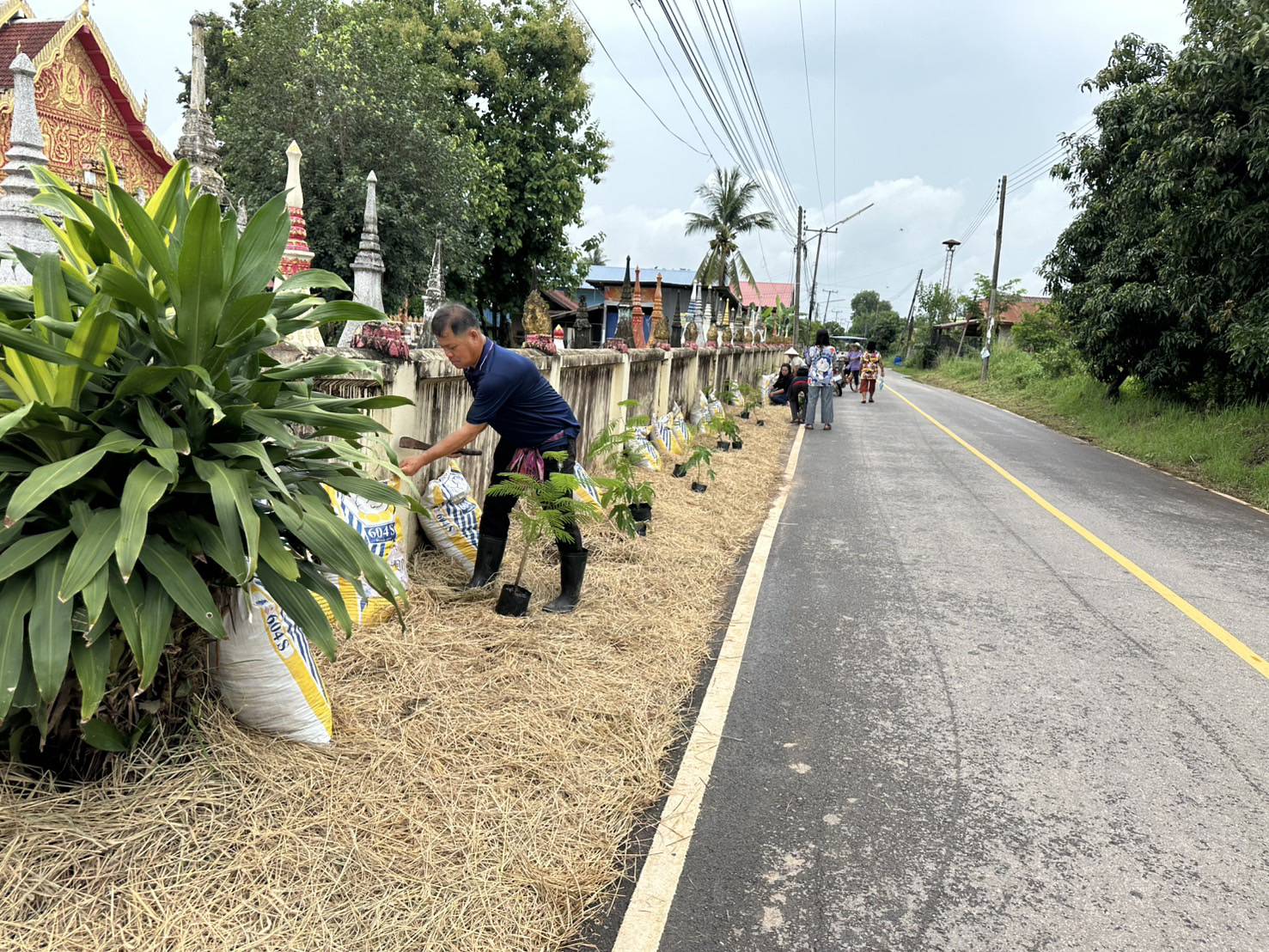 พช.หนองคาย จัดกิจกรรม “เส้นทางนี้มีผล ผู้คนรักกัน ปันสุข” น้อมนำแนวพระราชดำริฯ สร้างความมั่นคงทางอาหาร