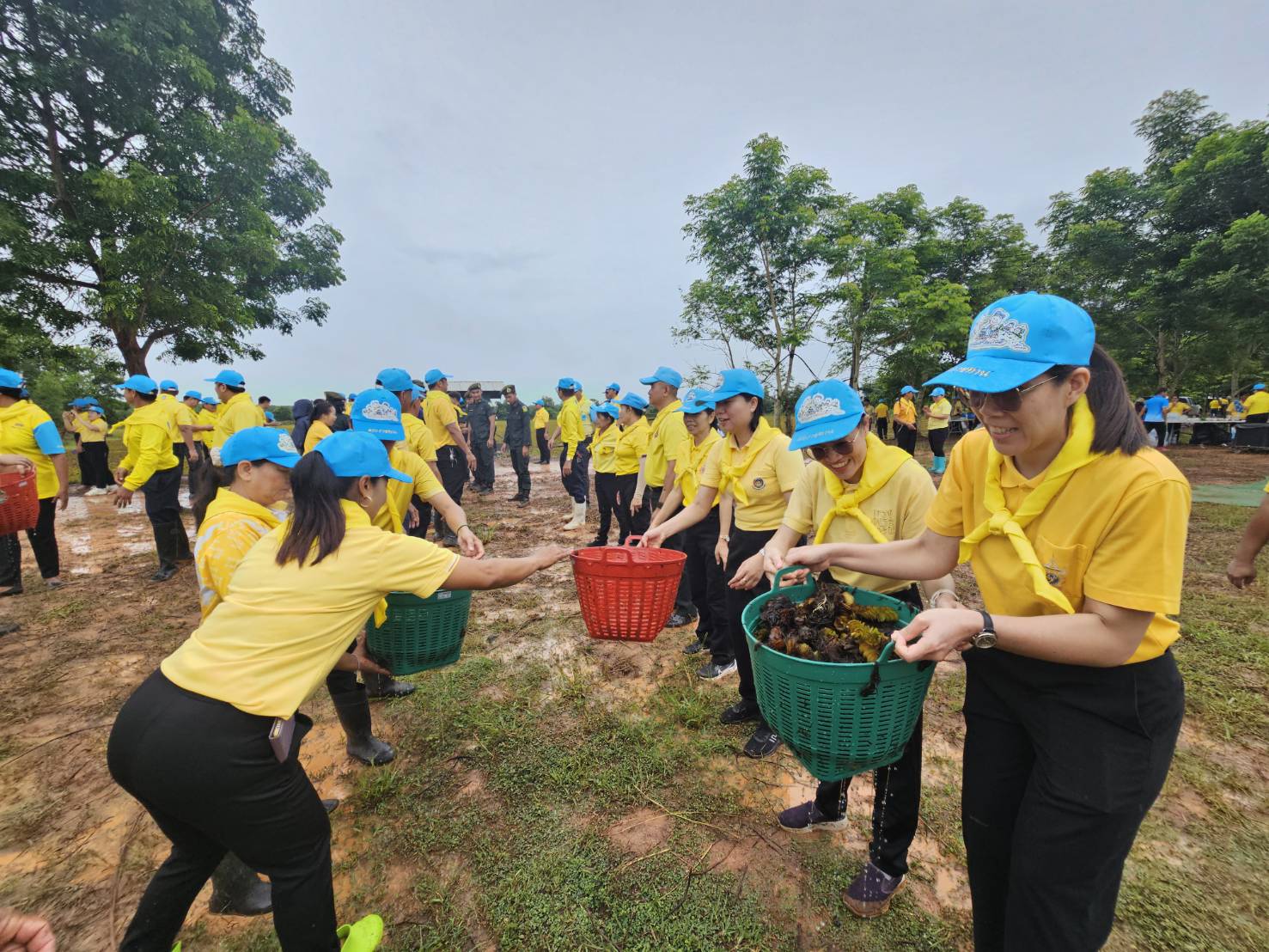 พช.หนองคาย ร่วมกิจกรรมจิตอาสาพัฒนา เนื่องในโอกาสวันคล้ายวันสวรรคต สมเด็จพระศรีนครินทราบรมราชาชนนี และกิจกรรมกำจัดผักตบชวาแบบบูรณาการ จังหวัดหนองคาย ครั้งที่ 1/2568 เฉลิมพระเกียรติฯ