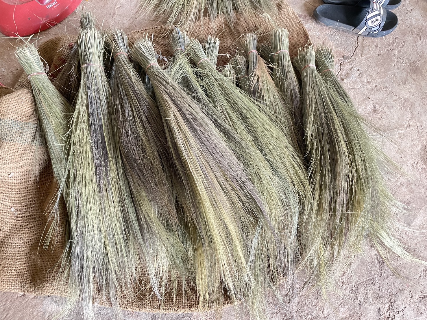 กองทุนฯ สตรี หนองคาย ลงพื้นที่ประชาสัมพันธ์มาตรการช่วยเหลือลูกหนี้กองทุนพัฒนาบทบาทสตรี “เดินหน้าสู้หนี้ ร่วมสร้างพลังสตรี เปลี่ยนหนี้เป็นพลัง เปลี่ยนปัญหาเป็นโอกาส”