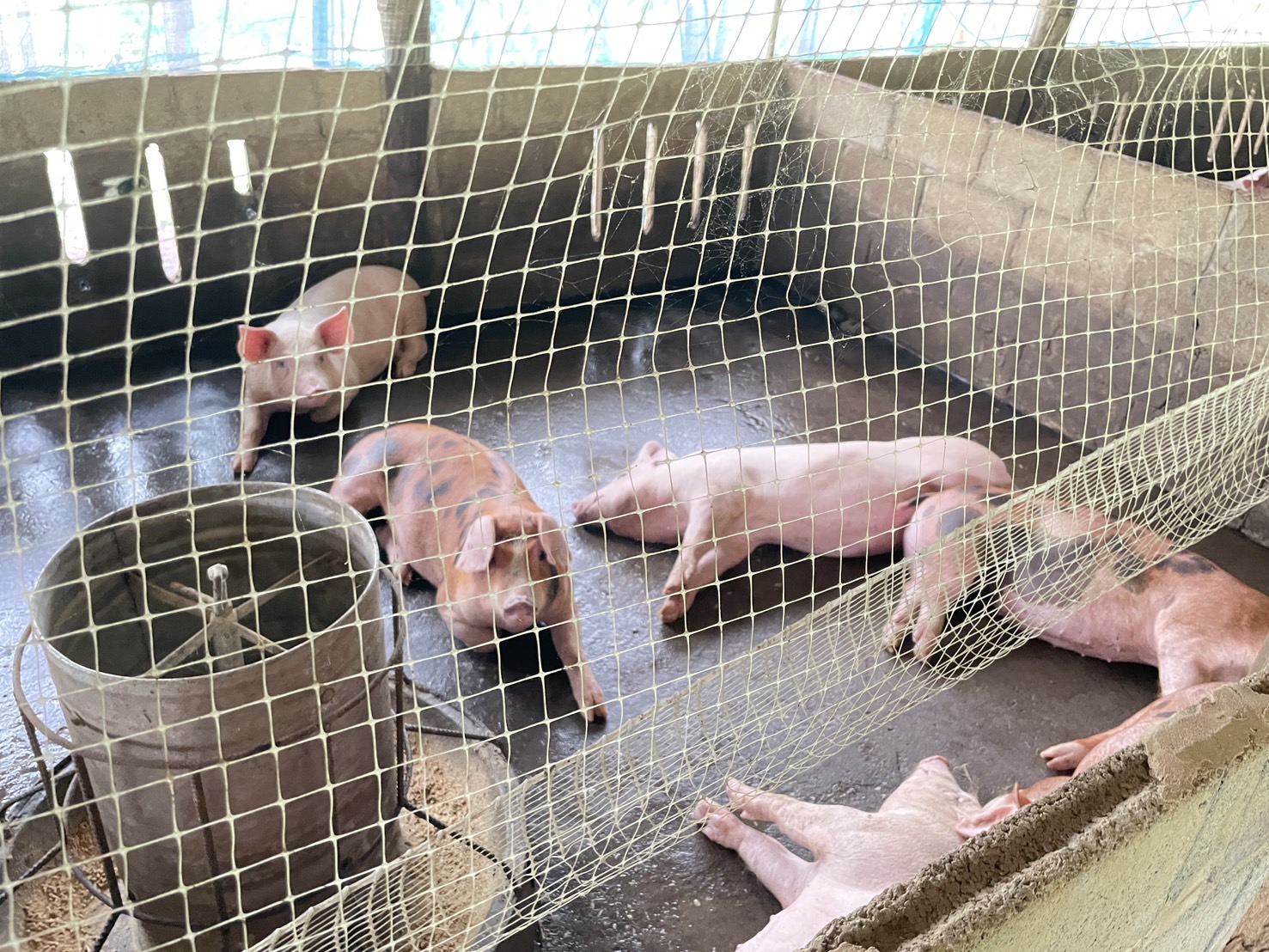 กองทุนฯ สตรี หนองคาย ลงพื้นที่ประชาสัมพันธ์มาตรการช่วยเหลือลูกหนี้กองทุนพัฒนาบทบาทสตรี “เดินหน้าสู้หนี้ ร่วมสร้างพลังสตรี เปลี่ยนหนี้เป็นพลัง เปลี่ยนปัญหาเป็นโอกาส”