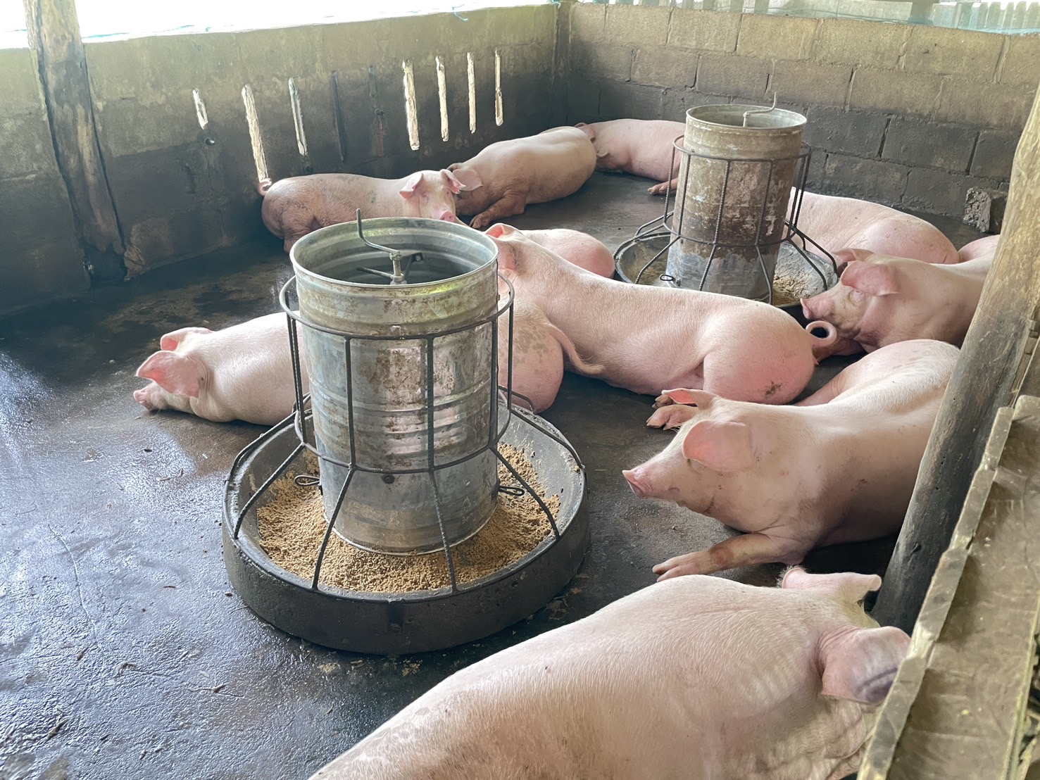 กองทุนฯ สตรี หนองคาย ลงพื้นที่ประชาสัมพันธ์มาตรการช่วยเหลือลูกหนี้กองทุนพัฒนาบทบาทสตรี “เดินหน้าสู้หนี้ ร่วมสร้างพลังสตรี เปลี่ยนหนี้เป็นพลัง เปลี่ยนปัญหาเป็นโอกาส”