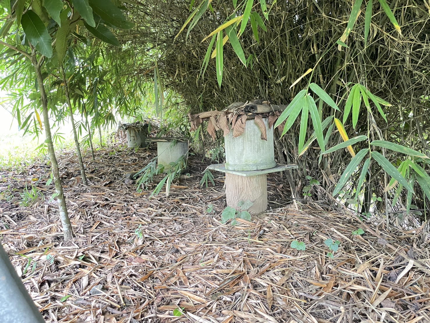 กองทุนฯ สตรี หนองคาย ลงพื้นที่ประเมินกลั่นกรองโครงการเงินทุนหมุนเวียน อำเภอสังคม