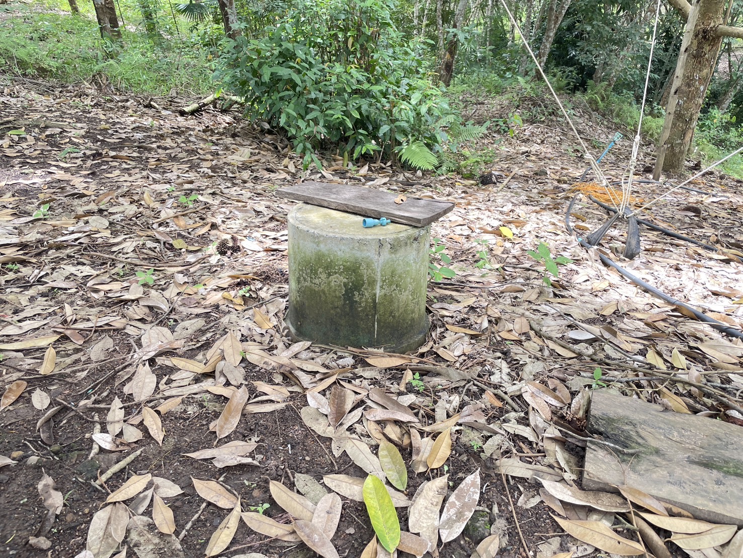 กองทุนฯ สตรี หนองคาย ลงพื้นที่ประเมินกลั่นกรองโครงการเงินทุนหมุนเวียน อำเภอสังคม